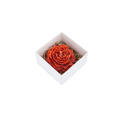 Bičių vaško gėlės formos žvakė